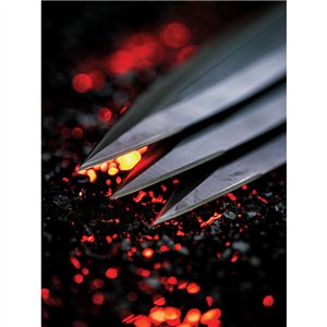 Merlin Throwing Knives