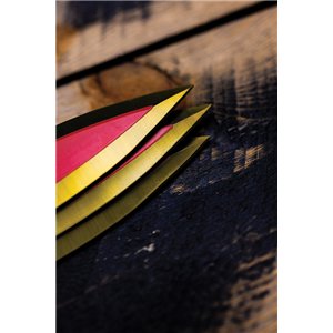 Phoenix Throwing Knives Infer