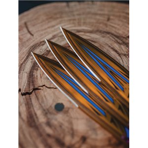 Toro Anubis Throwing Knives