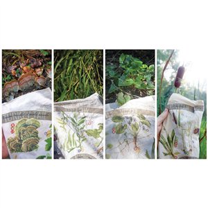 Bandana Foraging Reference