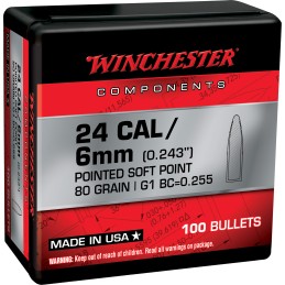 Winchester Ammo WB243SP80X Centerfire Rifle  243Win 80gr Pointed Soft Point 100 Per Box10 Case