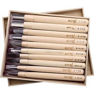 Woodcarving Knife 10pcs Set