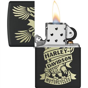 Harley-Davidson Design