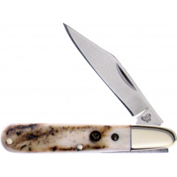 Folder Deer Stag