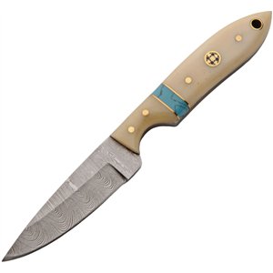 Sharp Tooth Bone Knife
