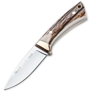 Colibri Fixed Blade Stag