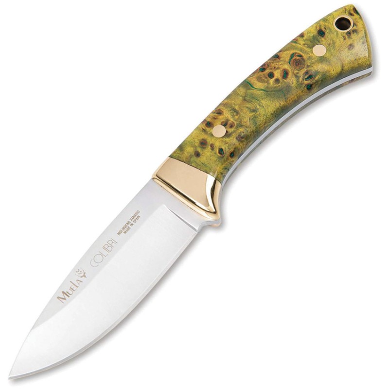 Colibri Fixed Blade Maple
