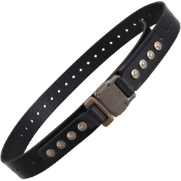 APIS Belt Black