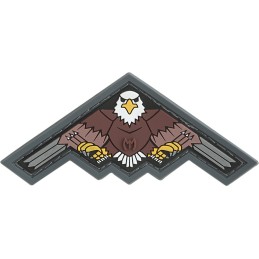 B2 Bomber Eagle Patch Color