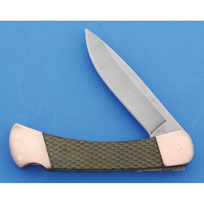 Buck Custom Folding Hunter