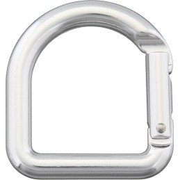 Carabiner Silver