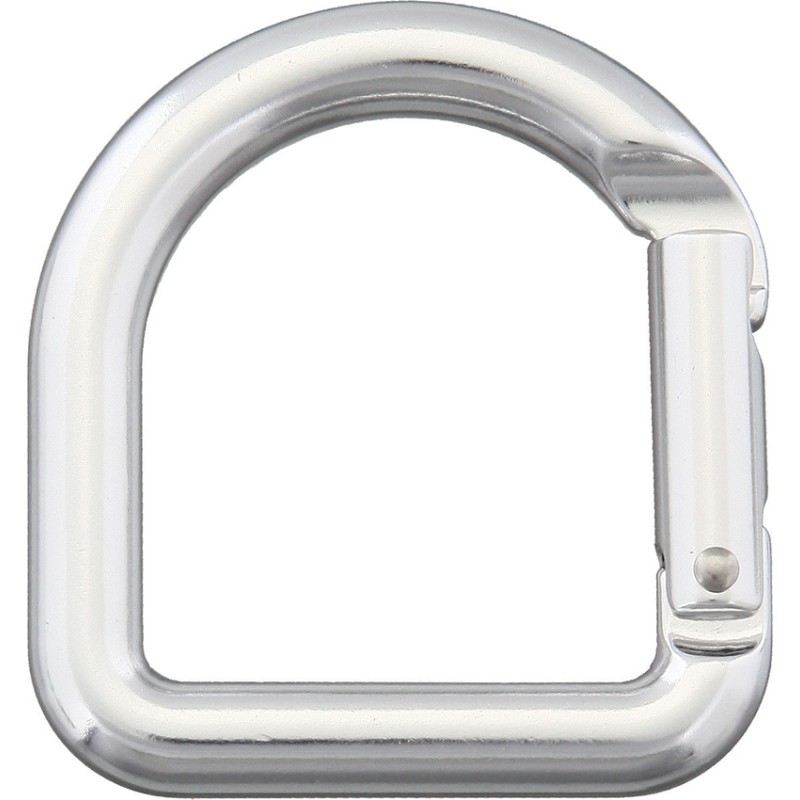 Carabiner Silver