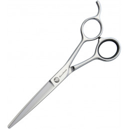 Hair Scissors