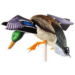 Avian X AVXAVXDP101 PowerFlight  Mallard Spinning Wing Duck Decoy MultiColor Dual Mode Remote