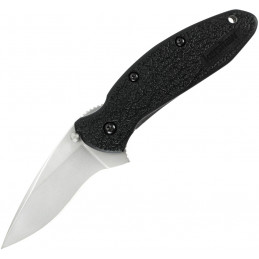 Scallion Linerlock A/O Black