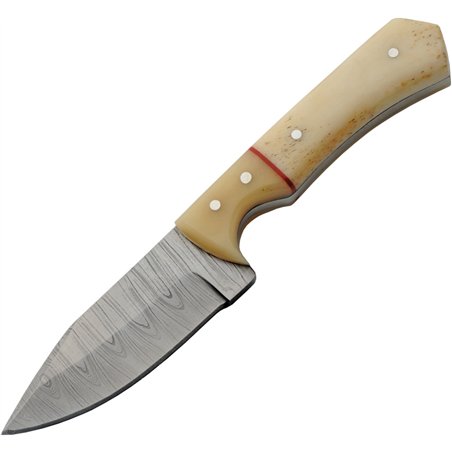 Skinner Bleached Bone