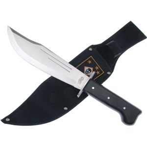 Carson Raider Bowie