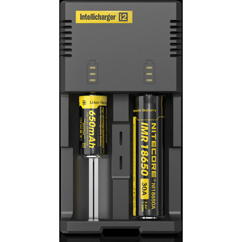 Intellicharger Battery Charger