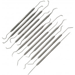 Dental Pick Set 12 Pc Assorted