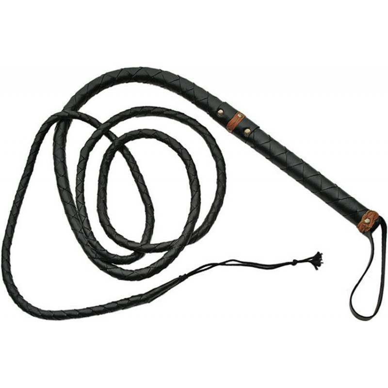 Bullwhip