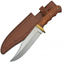 Mountain Lion Bowie