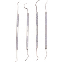 Dental Pick Set