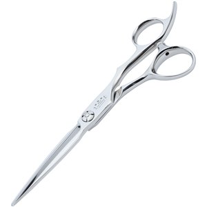 Professional Coiffeur Scissors