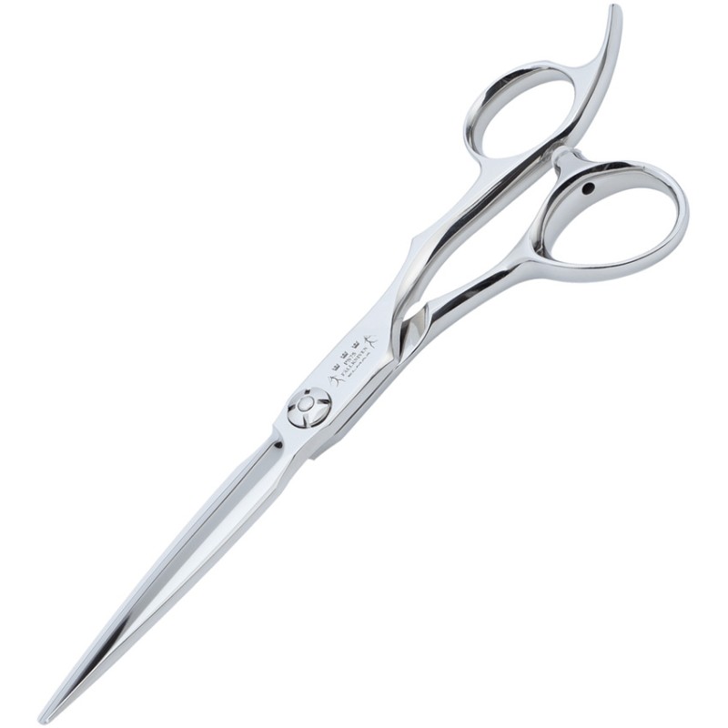 Professional Coiffeur Scissors