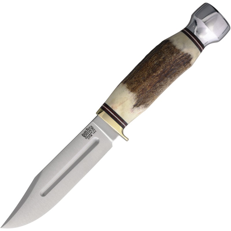 Gladstone Hunter Sambar