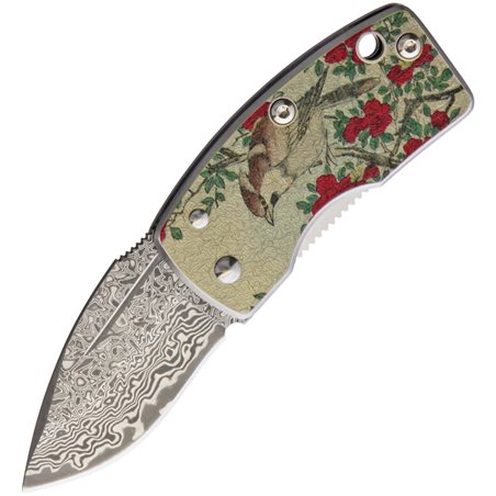 Money Clip Framelock