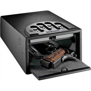 Mini 1000 Gun Vault