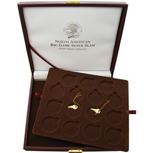 Collectible Coin Display