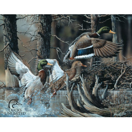 Ducks Unlimited