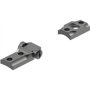 Base STD Remington 700 2p Mtte