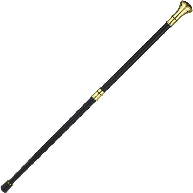 Masonic Two-Piece Cane