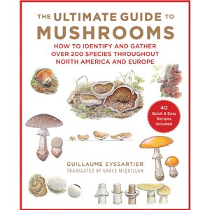 Ultimate Guide To Mushrooms