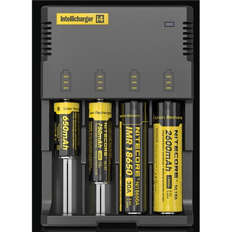 Intellicharger Battery Charger
