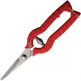 Bait Shears Assorted Colors