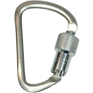 D Steel Carabiner