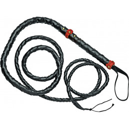 Bullwhip