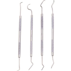 Dental Pick Set