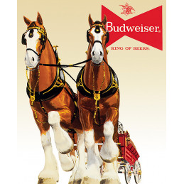 Budweiser Clydesdale Team