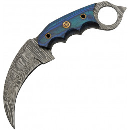 Talon Karambit Blue