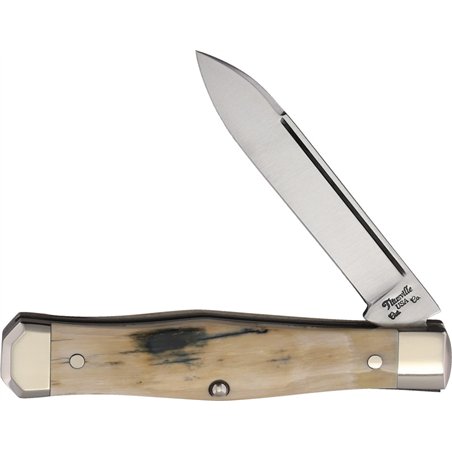 Lexingtonian Folder Mammoth