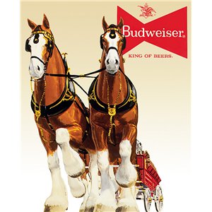 Budweiser Clydesdale Team