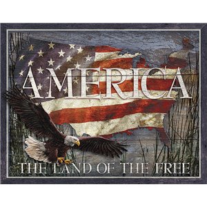 America Land of Free