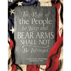 2nd Amendment Right Sign