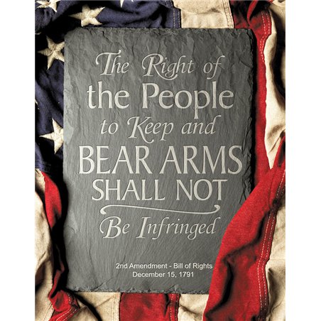 2nd Amendment Right Sign