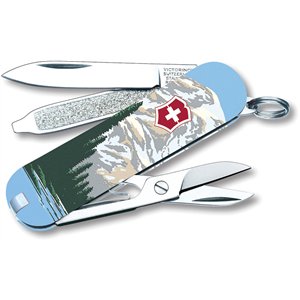 Classic Mt Rainier Natl Park