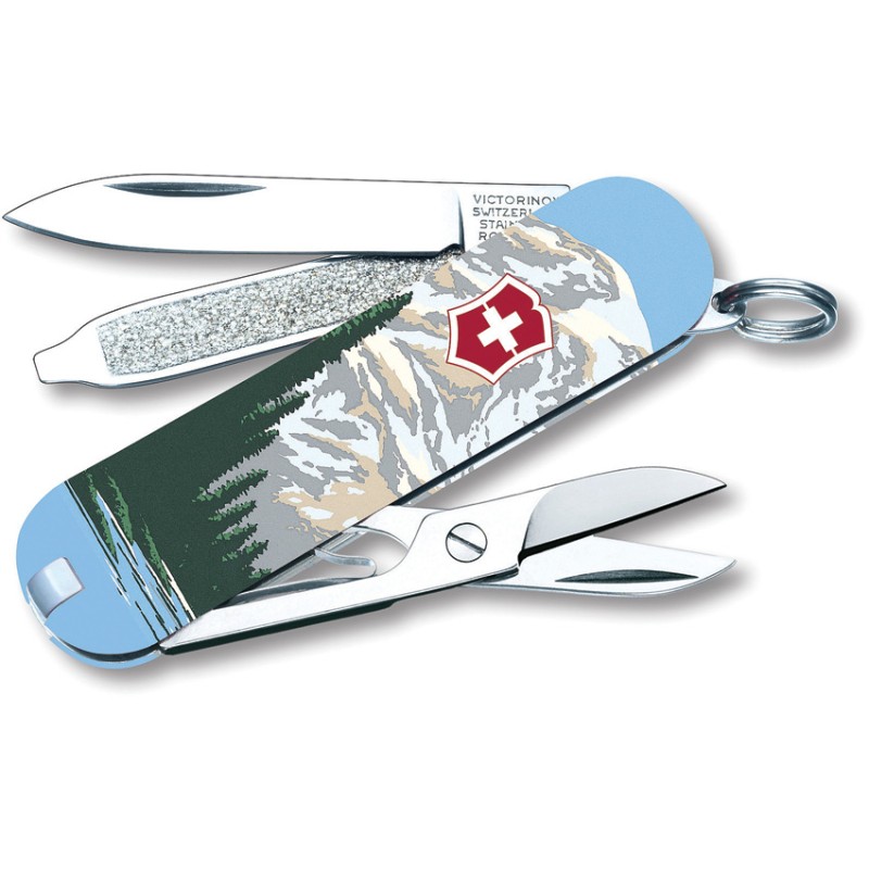 Classic Mt Rainier Natl Park